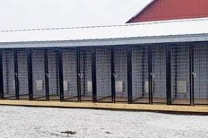 dog kennel6